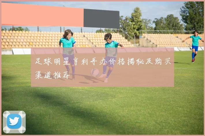 足球明星亨利手办价格揭秘及购买渠道推荐