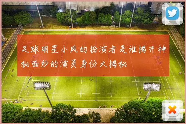 足球明星小凤的扮演者是谁揭开神秘面纱的演员身份大揭秘