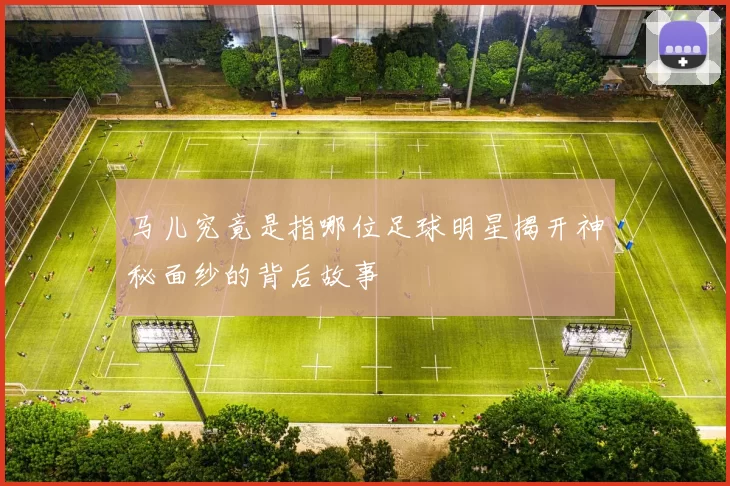 马儿究竟是指哪位足球明星揭开神秘面纱的背后故事