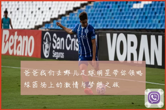 爸爸我们去哪儿足球明星带你领略绿茵场上的激情与梦想之旅