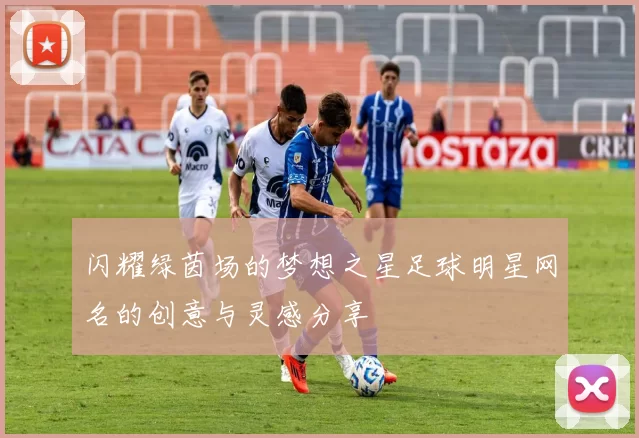 闪耀绿茵场的梦想之星足球明星网名的创意与灵感分享