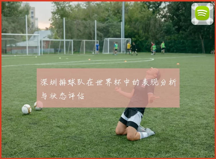 深圳排球队在世界杯中的表现分析与状态评估