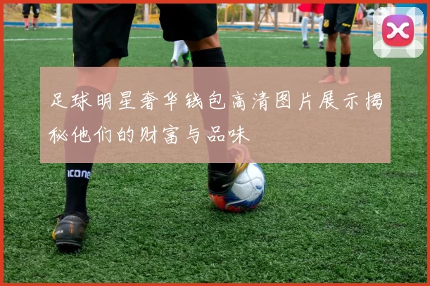 足球明星奢华钱包高清图片展示揭秘他们的财富与品味
