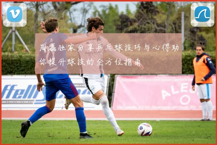 周磊独家分享乒乓球技巧与心得助你提升球技的全方位指南
