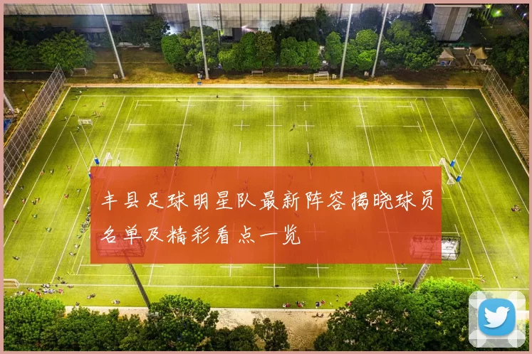 丰县足球明星队最新阵容揭晓球员名单及精彩看点一览