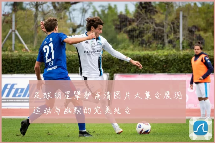 足球明星犟驴高清图片大集合展现运动与幽默的完美结合
