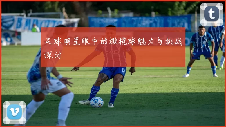 足球明星眼中的橄榄球魅力与挑战探讨