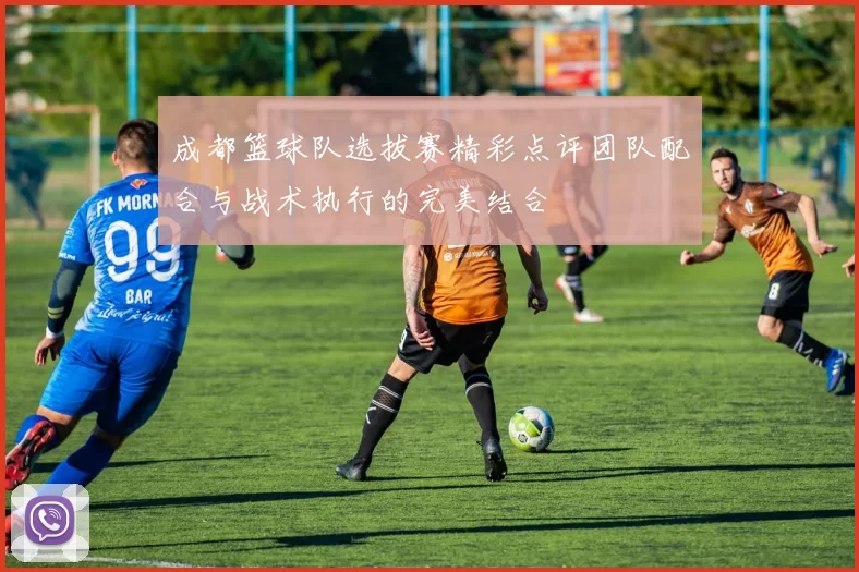 成都篮球队选拔赛精彩点评团队配合与战术执行的完美结合