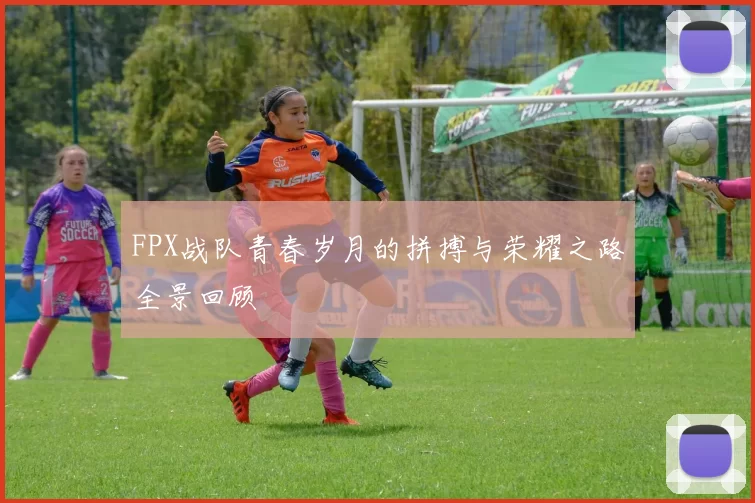 FPX战队青春岁月的拼搏与荣耀之路全景回顾