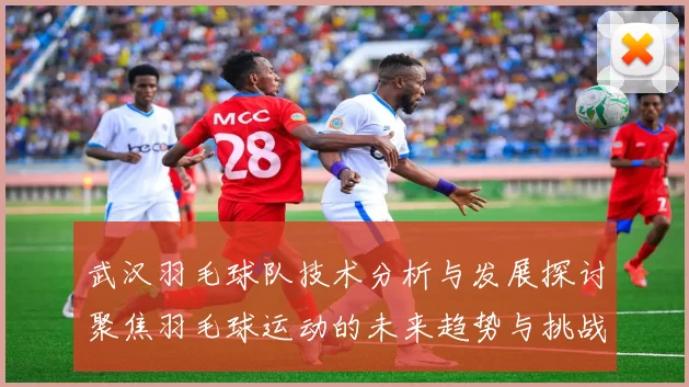 武汉羽毛球队技术分析与发展探讨聚焦羽毛球运动的未来趋势与挑战