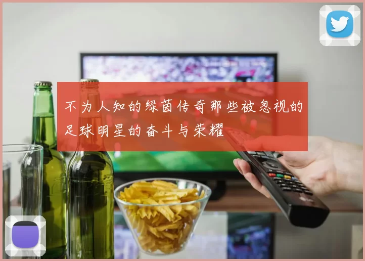 不为人知的绿茵传奇那些被忽视的足球明星的奋斗与荣耀