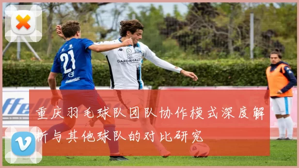 重庆羽毛球队团队协作模式深度解析与其他球队的对比研究