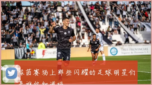 绿茵赛场上那些闪耀的足球明星们是谁你知道吗