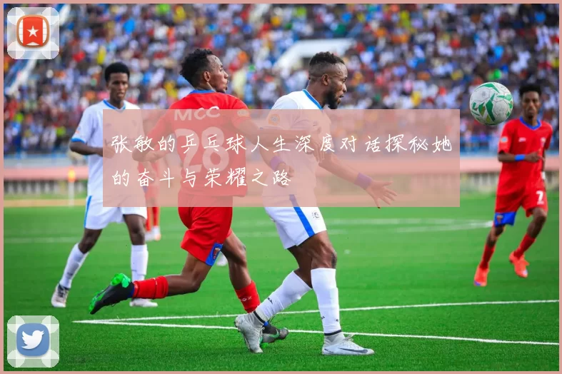 张敏的乒乓球人生深度对话探秘她的奋斗与荣耀之路