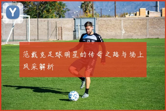 范戴克足球明星的传奇之路与场上风采解析