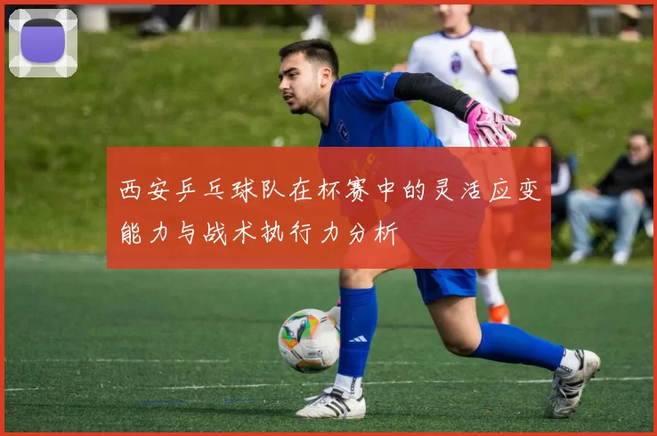 西安乒乓球队在杯赛中的灵活应变能力与战术执行力分析