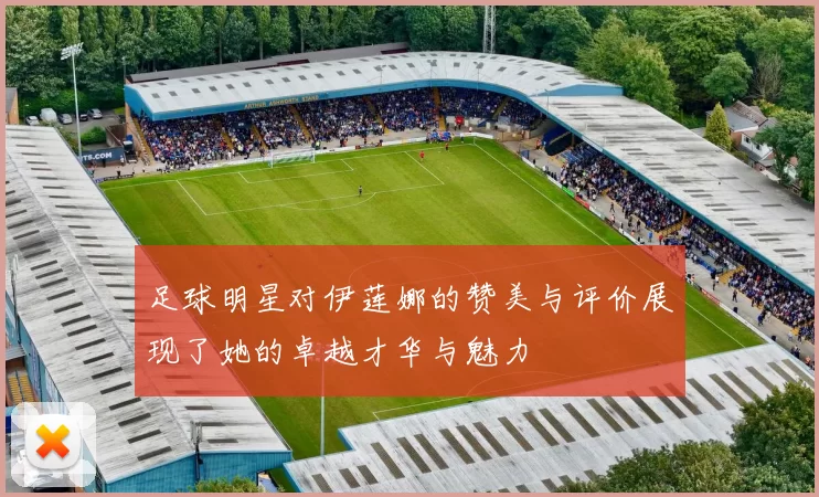 足球明星对伊莲娜的赞美与评价展现了她的卓越才华与魅力