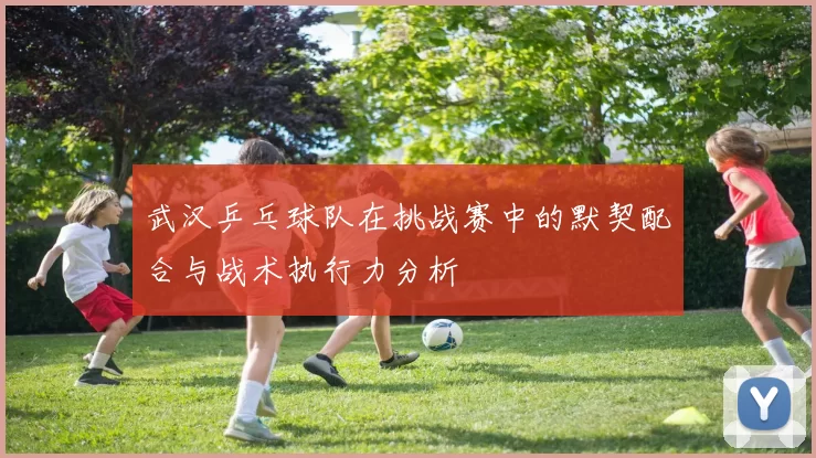 武汉乒乓球队在挑战赛中的默契配合与战术执行力分析
