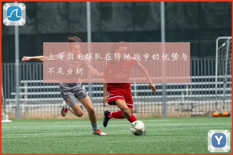 上海羽毛球队在阵地战中的优势与不足分析